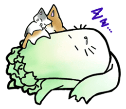 Chinese cabbage cat sticker #10104171
