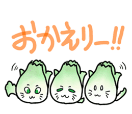 Chinese cabbage cat sticker #10104175