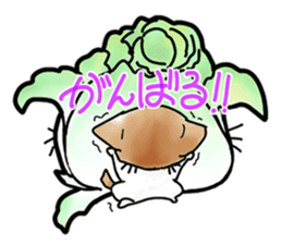 Chinese cabbage cat sticker #10104176