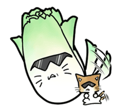 Chinese cabbage cat sticker #10104178