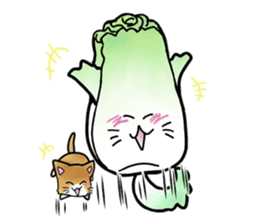 Chinese cabbage cat sticker #10104179