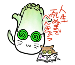 Chinese cabbage cat sticker #10104181