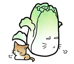 Chinese cabbage cat sticker #10104182