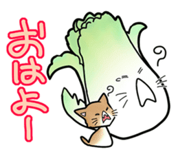 Chinese cabbage cat sticker #10104183