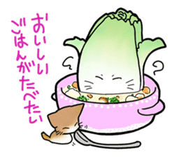 Chinese cabbage cat sticker #10104185