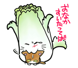 Chinese cabbage cat sticker #10104187