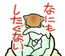 Chinese cabbage cat sticker #10104188