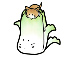 Chinese cabbage cat sticker #10104189
