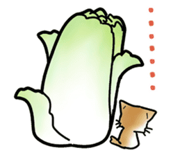 Chinese cabbage cat sticker #10104190