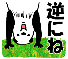 That bear. sticker #10104201