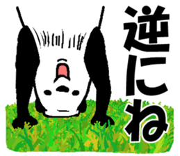 That bear. sticker #10104201