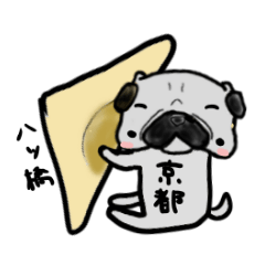 kyoto pug