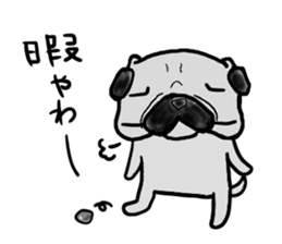 kyoto pug sticker #10104837