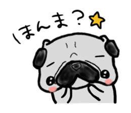 kyoto pug sticker #10104841