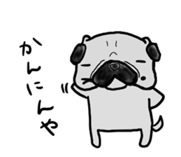 kyoto pug sticker #10104845