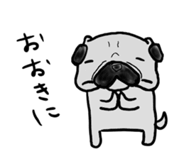 kyoto pug sticker #10104847