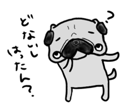 kyoto pug sticker #10104855