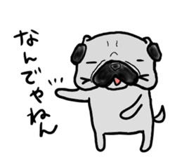 kyoto pug sticker #10104862