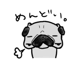 kyoto pug sticker #10104863