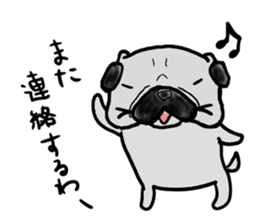 kyoto pug sticker #10104871