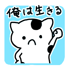 The cat which thinks about the life.