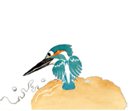 Happiness kingfisher-Crested Kingfisher sticker #10108205