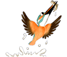 Happiness kingfisher-Crested Kingfisher sticker #10108213