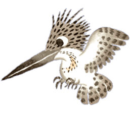 Happiness kingfisher-Crested Kingfisher sticker #10108220