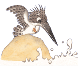 Happiness kingfisher-Crested Kingfisher sticker #10108222