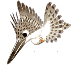 Happiness kingfisher-Crested Kingfisher sticker #10108223