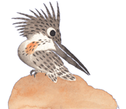 Happiness kingfisher-Crested Kingfisher sticker #10108224