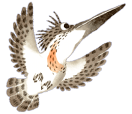 Happiness kingfisher-Crested Kingfisher sticker #10108226