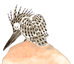 Happiness kingfisher-Crested Kingfisher sticker #10108227