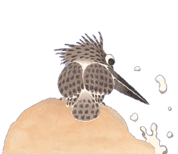 Happiness kingfisher-Crested Kingfisher sticker #10108228