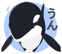 ORCA sticker #10109752