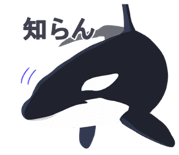 ORCA sticker #10109754