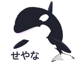 ORCA sticker #10109760