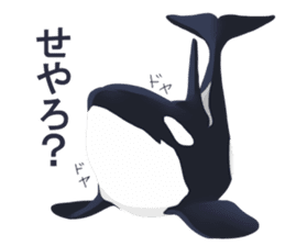 ORCA sticker #10109761