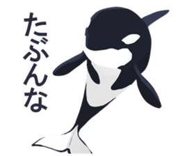 ORCA sticker #10109762