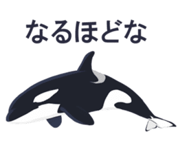 ORCA sticker #10109763