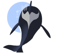 ORCA sticker #10109767