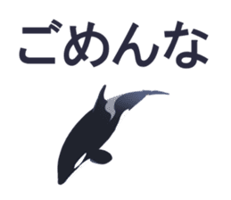 ORCA sticker #10109778