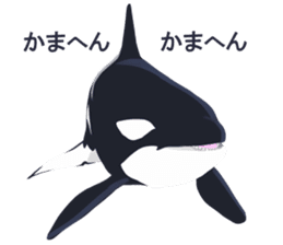ORCA sticker #10109779