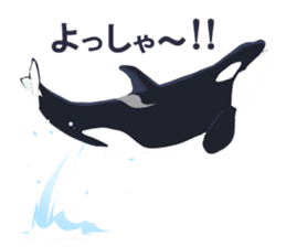 ORCA sticker #10109780