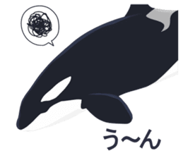 ORCA sticker #10109781