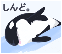 ORCA sticker #10109786