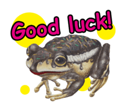 Frog-mates Stickers(English ver) sticker #10111835