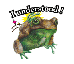 Frog-mates Stickers(English ver) sticker #10111840