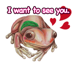 Frog-mates Stickers(English ver) sticker #10111846