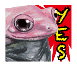 Frog-mates Stickers(English ver) sticker #10111850